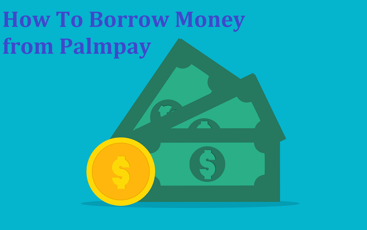 How To Borrow Money from Palmpay