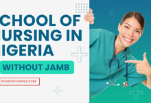 School of Nursing in Nigeria Without JAMB